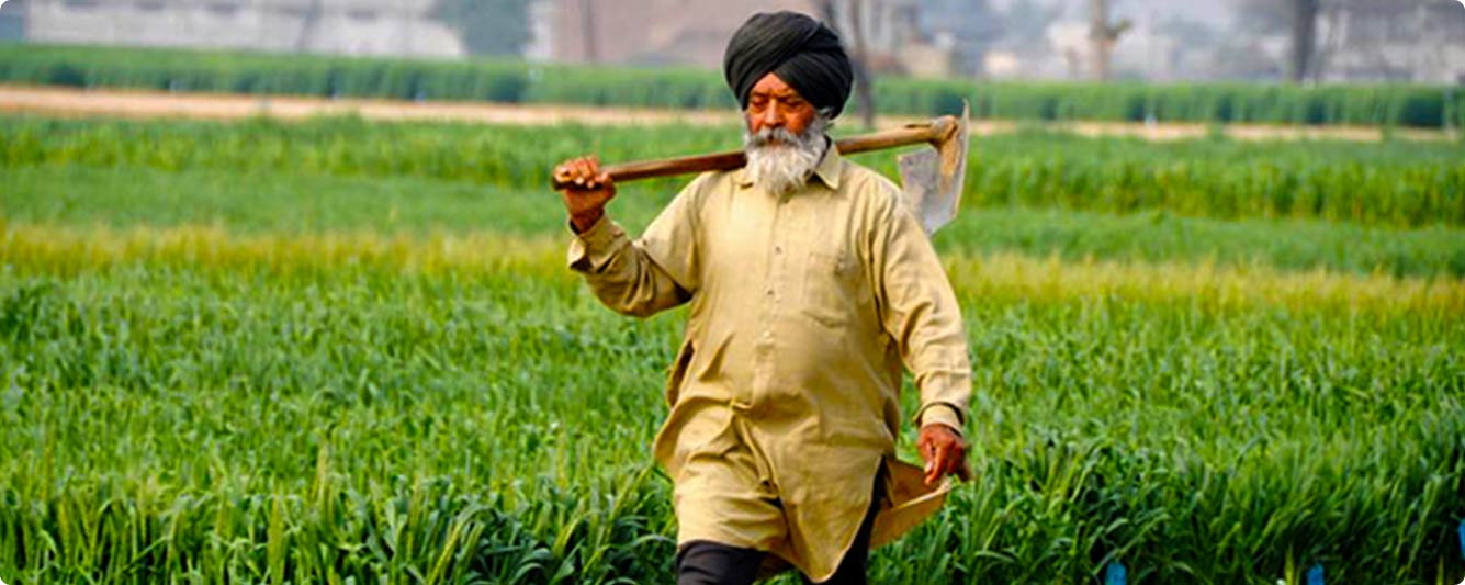 North India